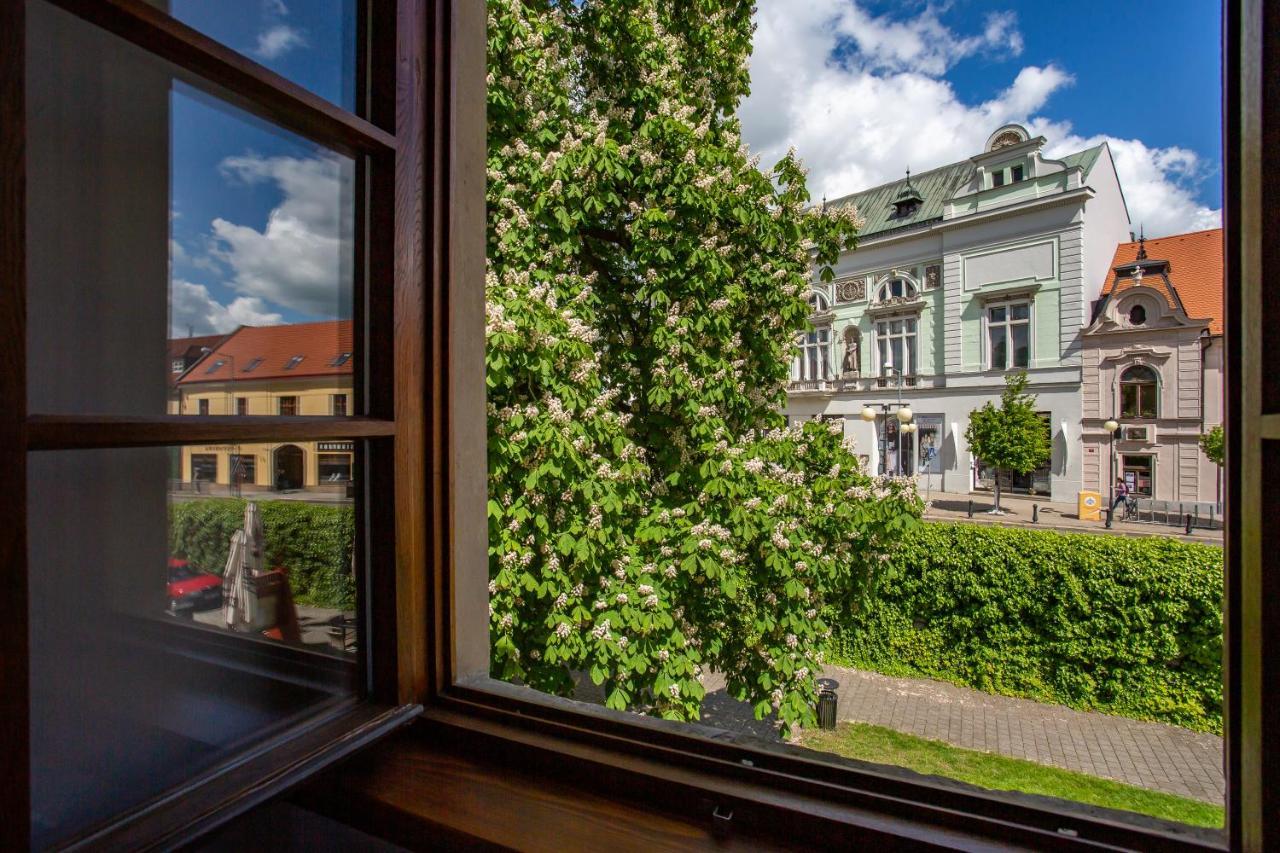 Castle Hotel & Wellness Poděbrady Eksteriør billede